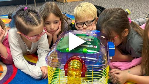 Children looking at an animal in a plastic cage