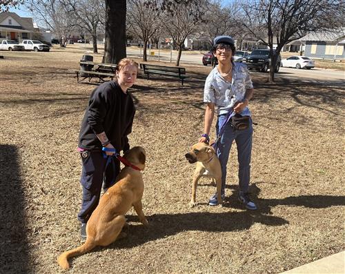 2 students training 2 dogs